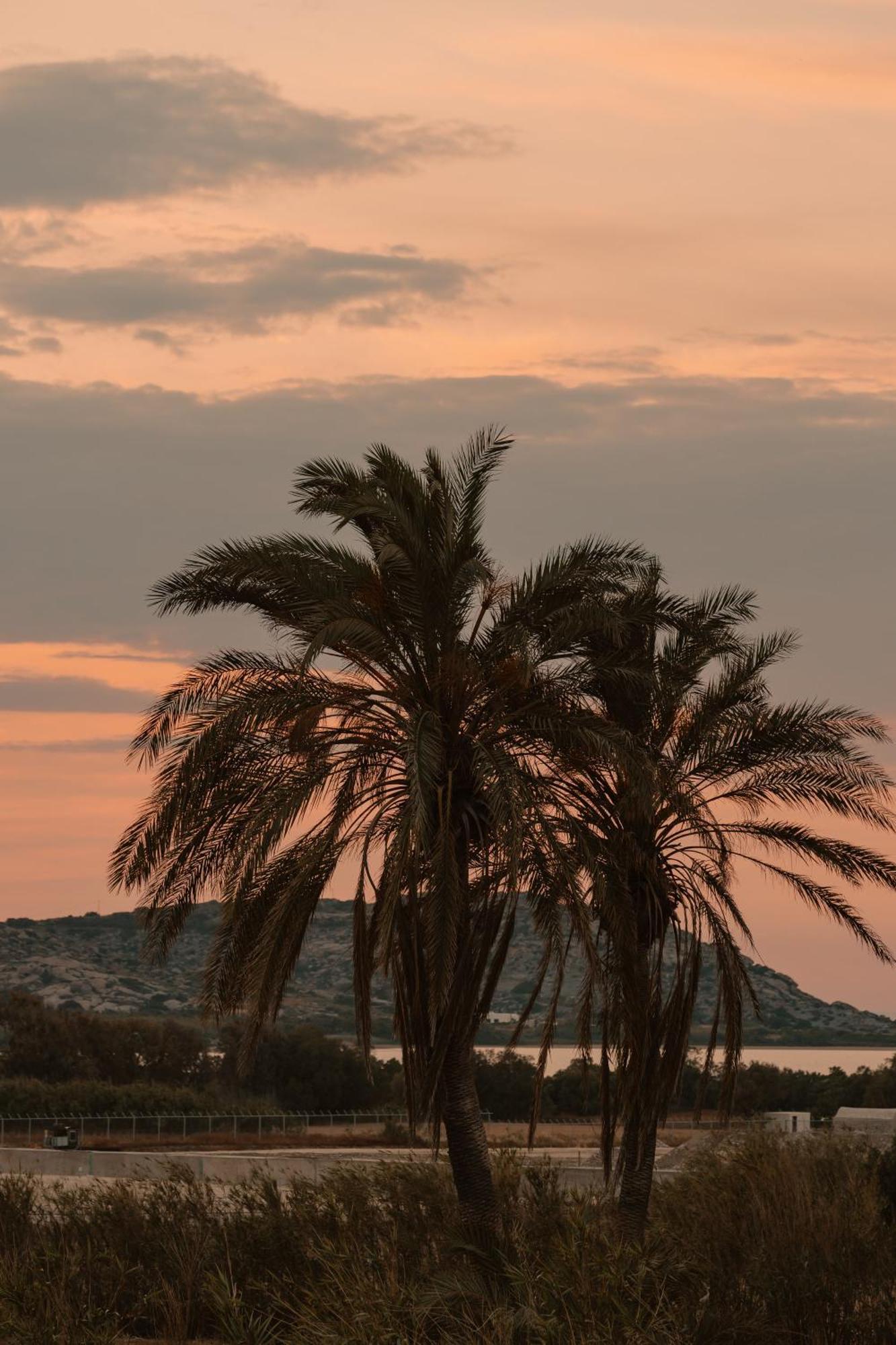 Villa vaya Agia Anna  Dış mekan fotoğraf